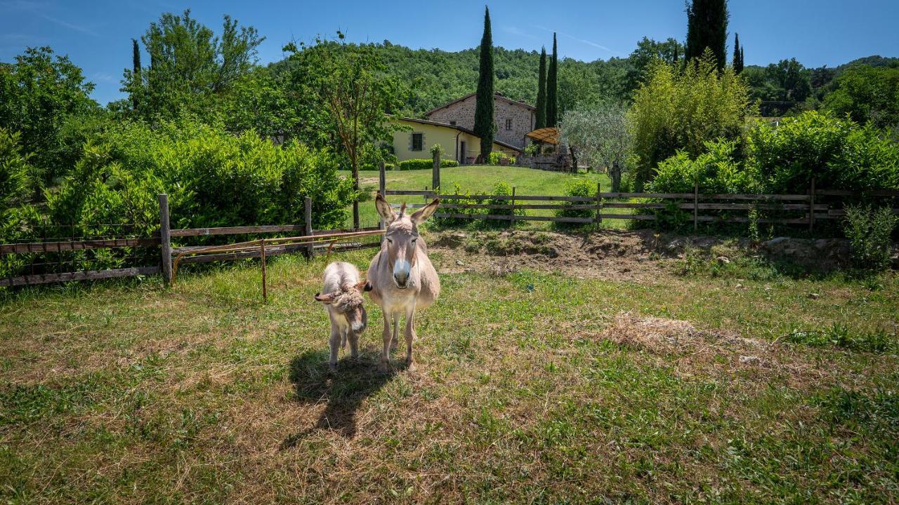 Agriturismo I Pietrini Перуджа Екстер'єр фото